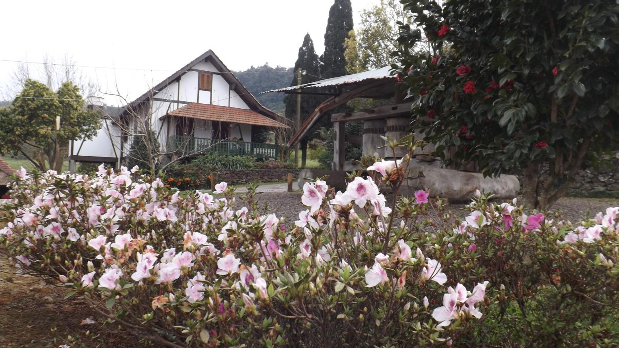 Recanto Dos Pioneiros Nova Petropolis Zimmer foto